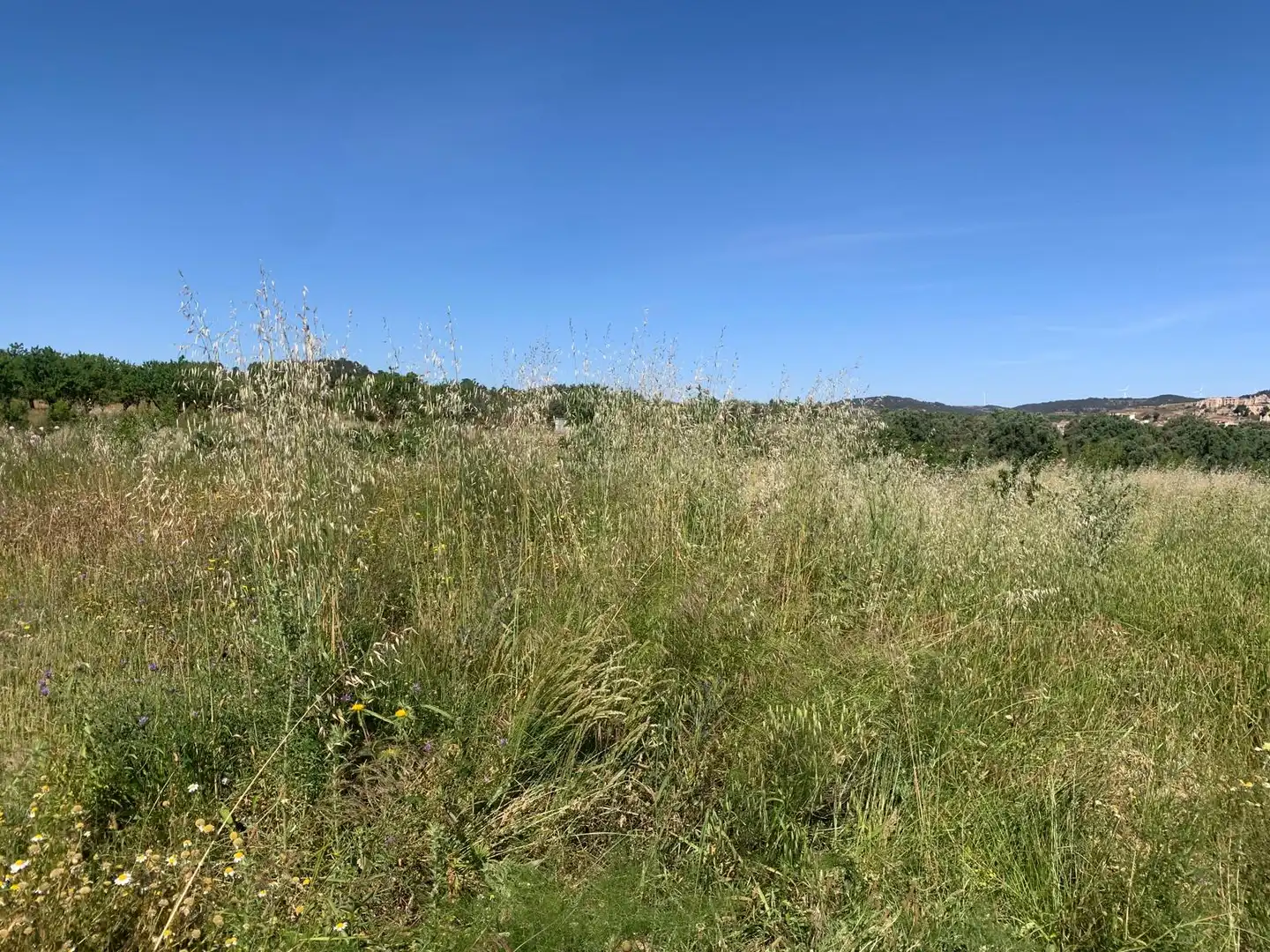 Terreno rustico in vendita a Corbera d'Ebre, imagen 14