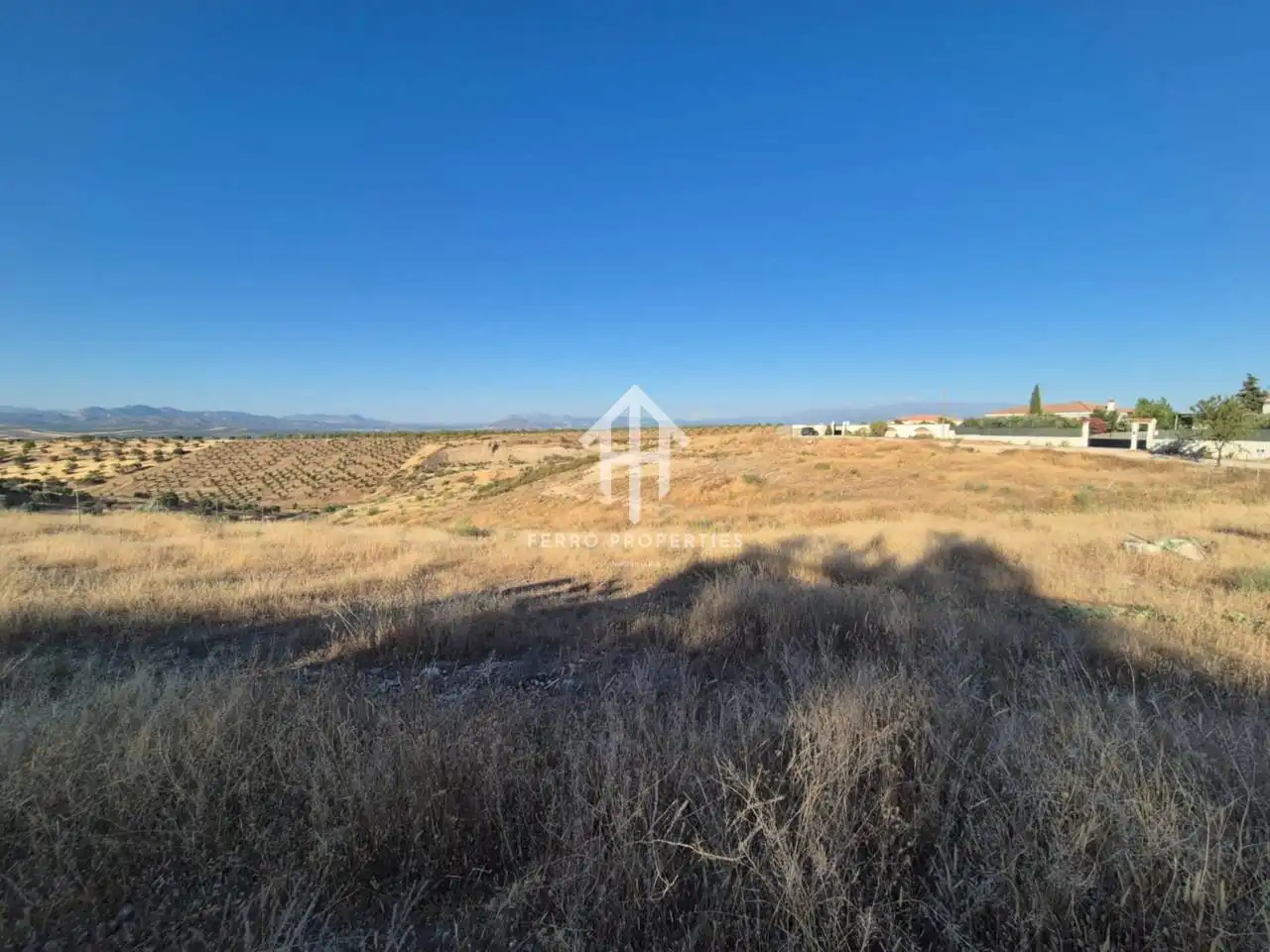 Rural land for sale in Moraleda de Zafayona, imagen 13