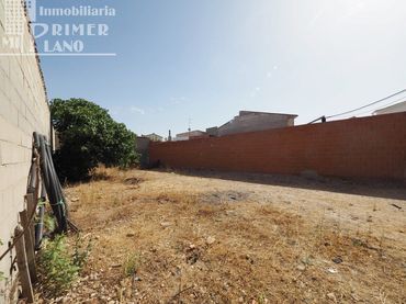 Terrenys i solars en venda a Argamasilla de Alba