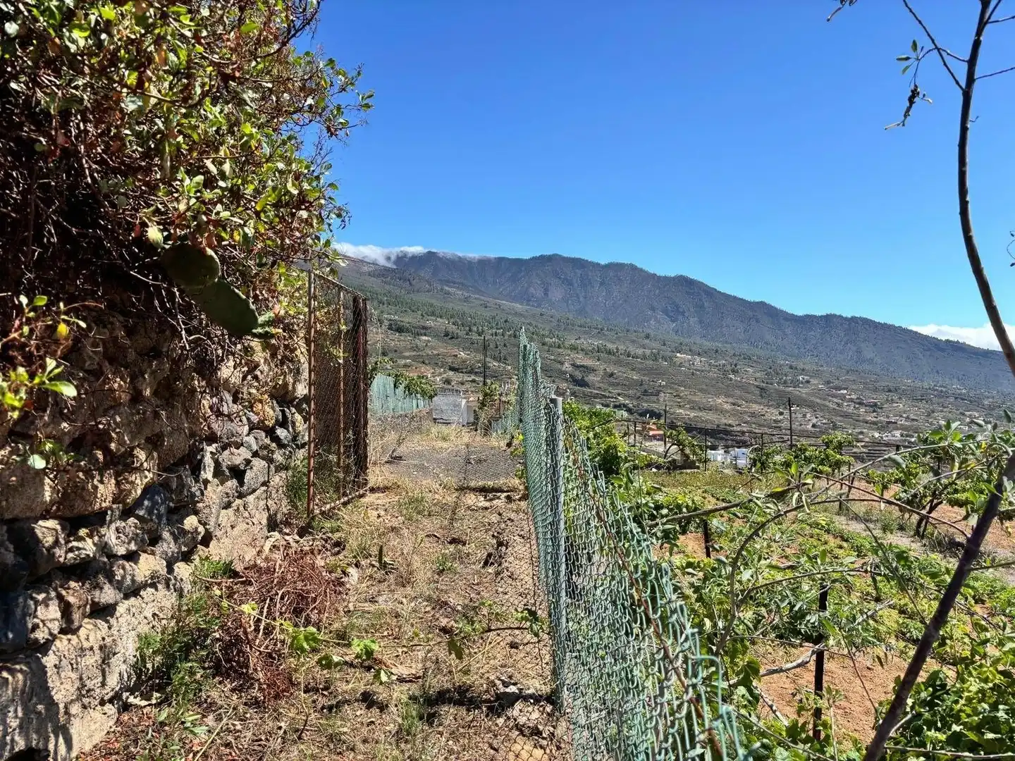 Rustikales Grundstück zum Verkauf in Polígono 1 Parcela 509 LAS CUESTAS. ARAFO (S.C. T 1, imagen 18