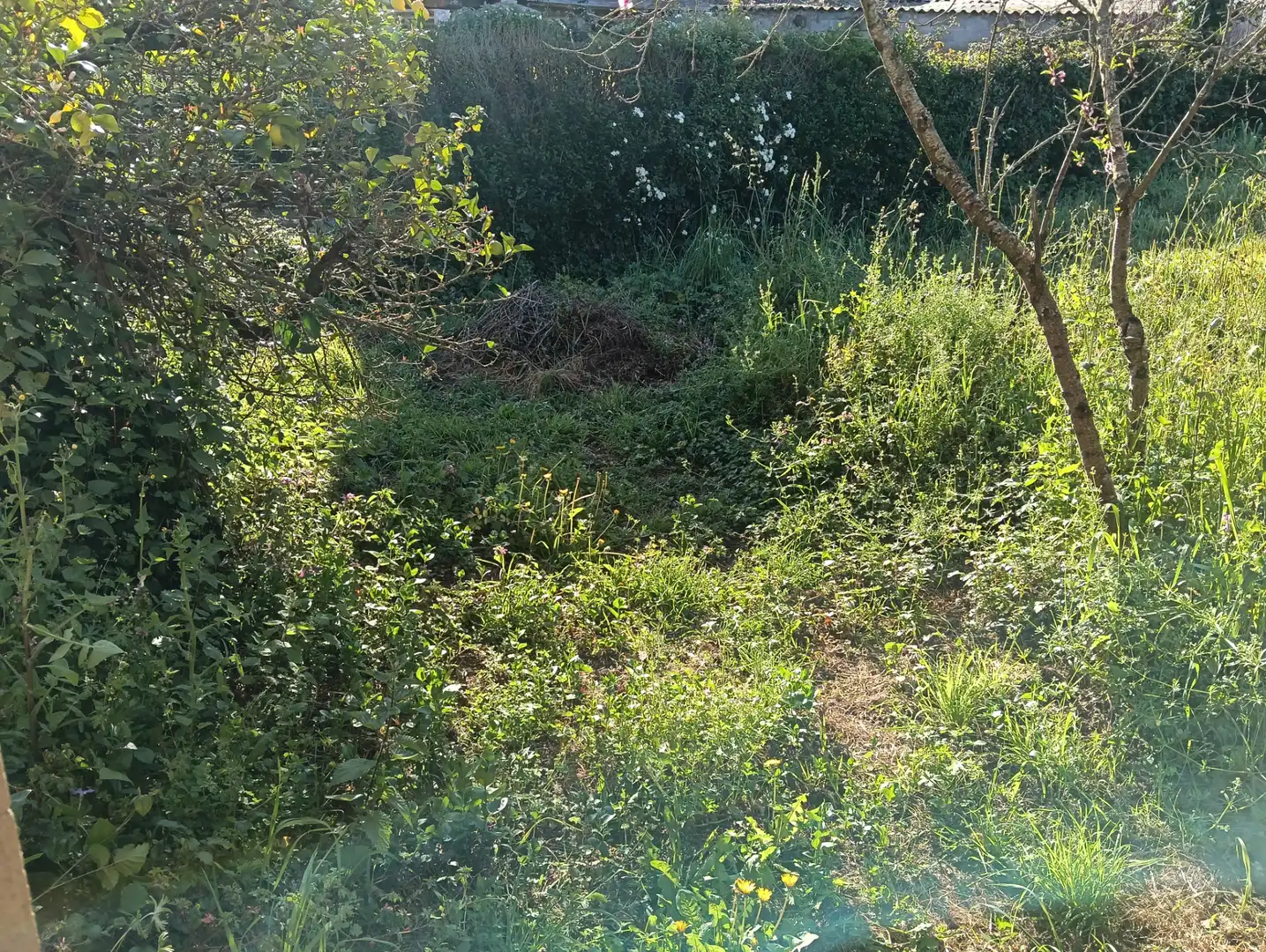 Maison avec jardin à vendre à Betanzos, imagen 12