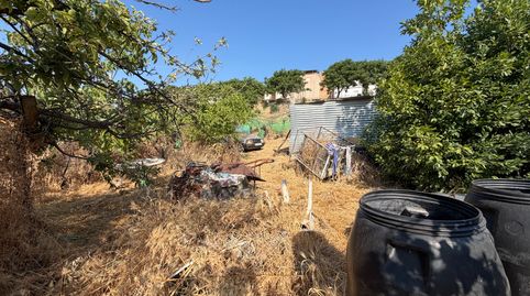 Foto 3 de Terreno en venta en Paseo Santiago, Torreperogil, Jaén