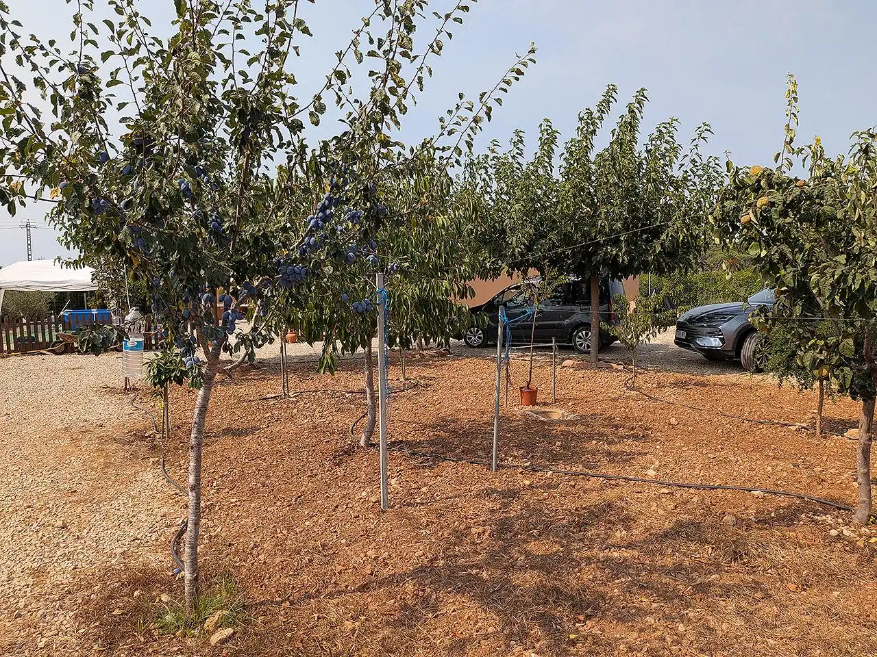 Aparcament de Finca rústica en venda en Vinaròs amb Terrassa i Piscina