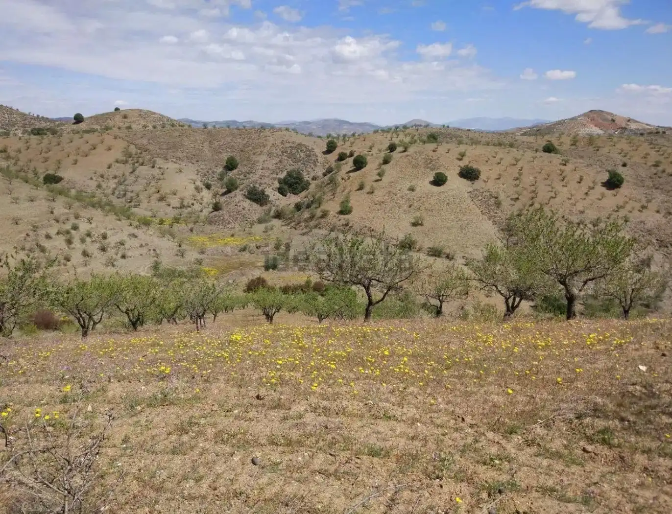 Terreny rústic en venda a Puerto Lumbreras, imagen 30
