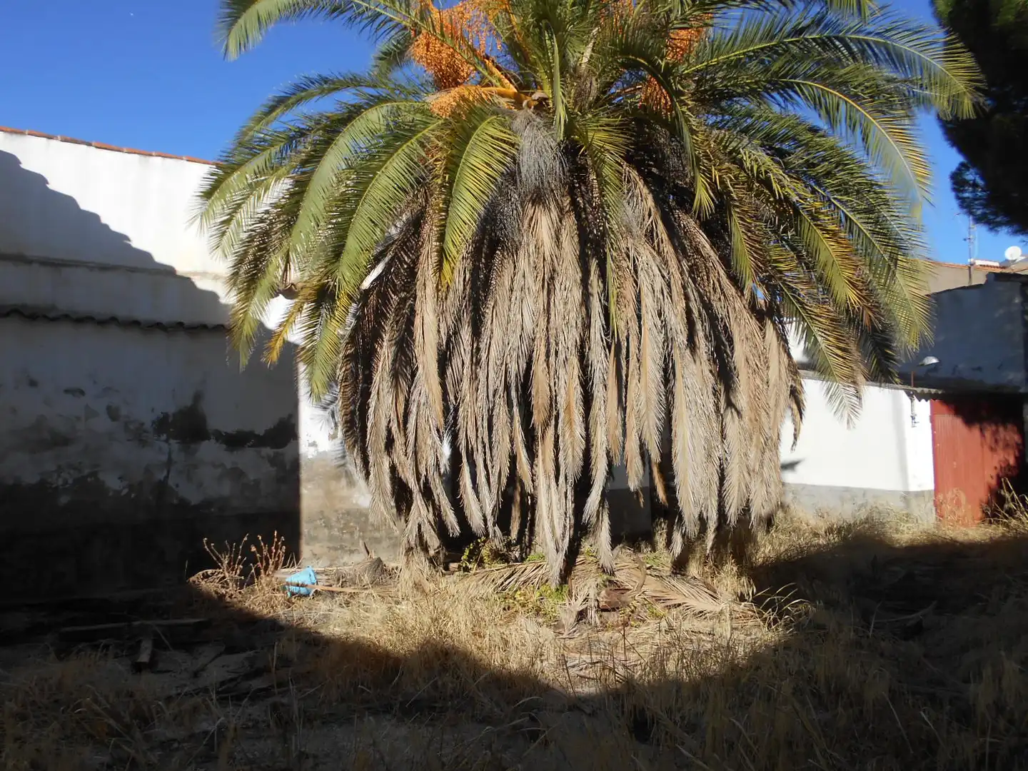 Casa en venta en Calle Inmaculada, imagen 3