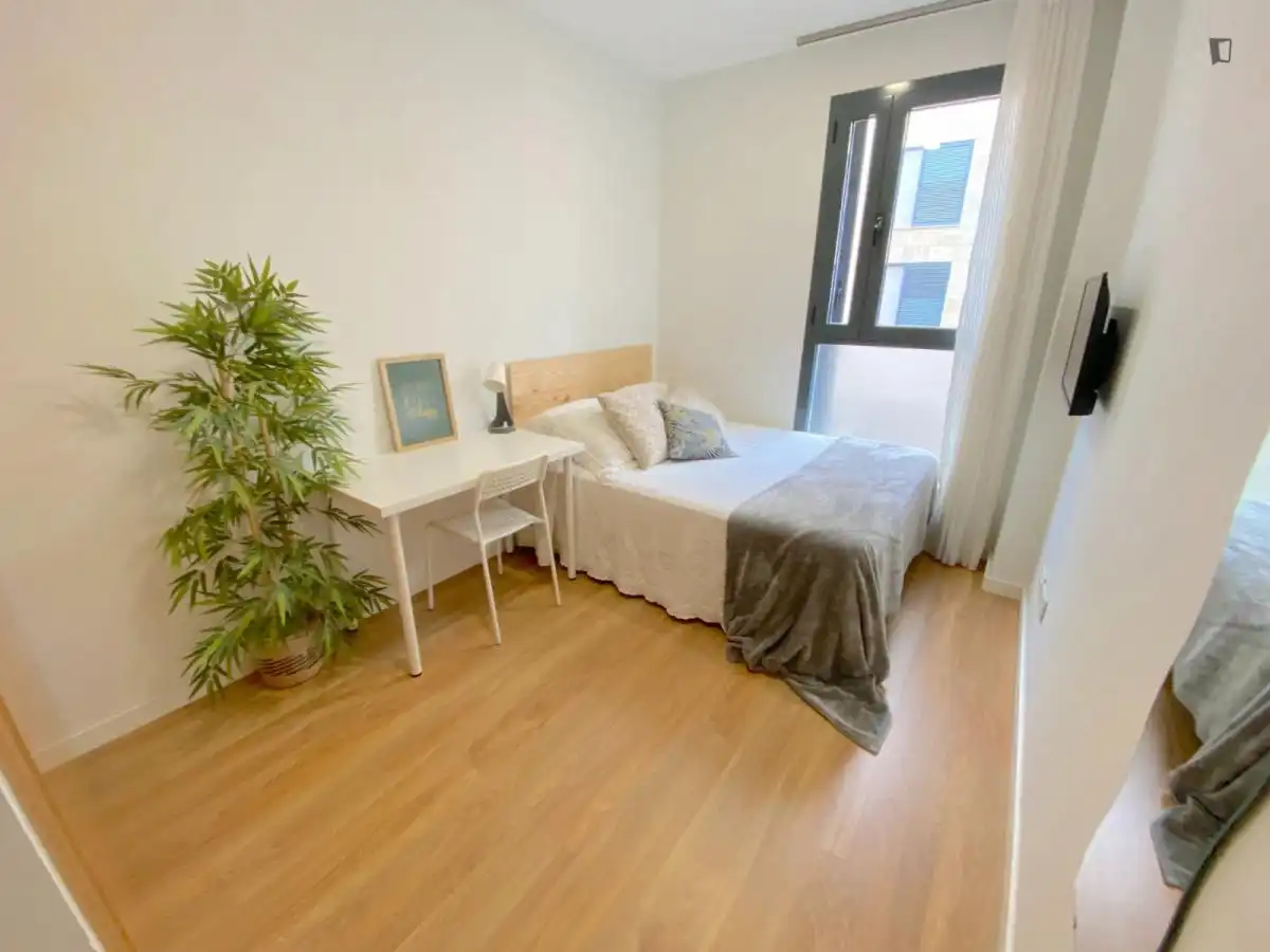 Habitació a Cruz Roja
