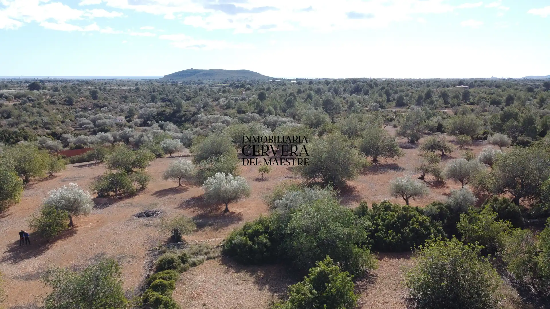 Terreno rustico in vendita a Partidas de interior - Zona Rústica, imagen 39