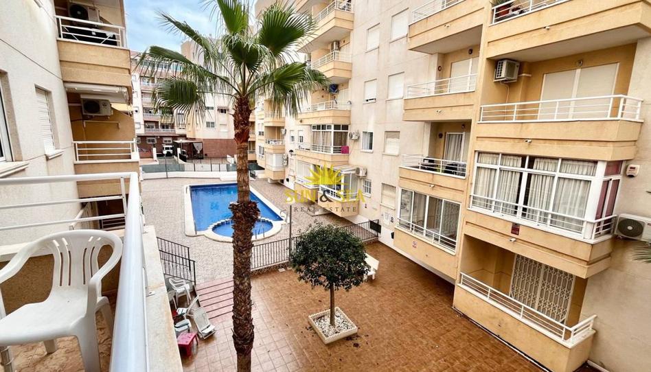Photo 1 of Apartment to rent in Parque de las Naciones, Alicante