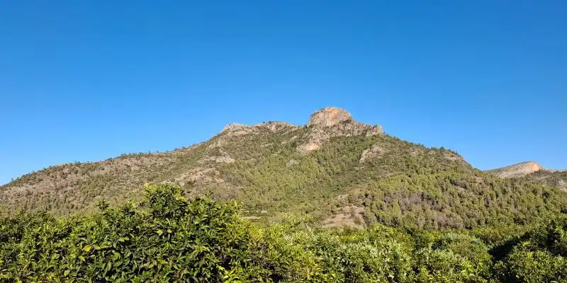 Terrain rustique à vendre à Terrenos MARXUQUERA  ALTA, imagen 20