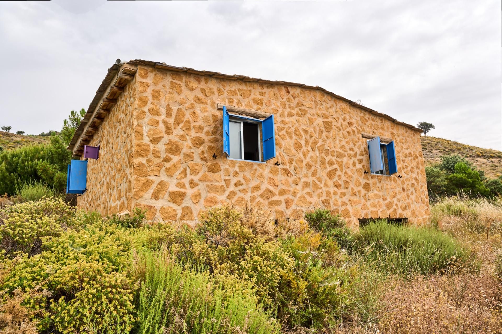 Exterior view of House or chalet for sale in Lanjarón  with Private garden