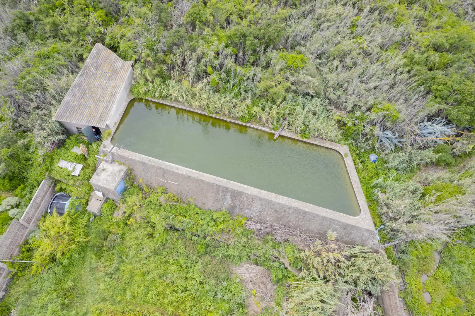 Swimming pool of Land for sale in Los Silos