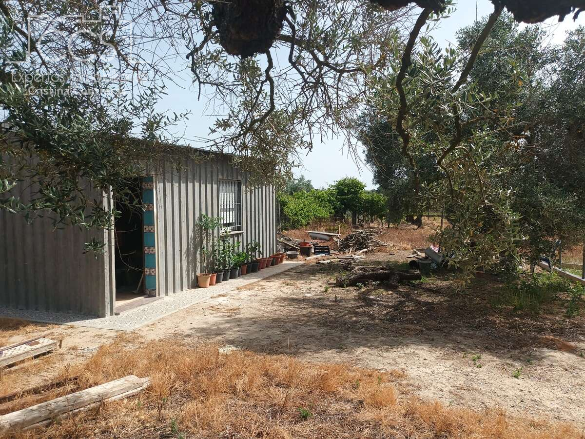 Finca rústica en venda en Almonte amb Jardí privat, Terrassa i Traster