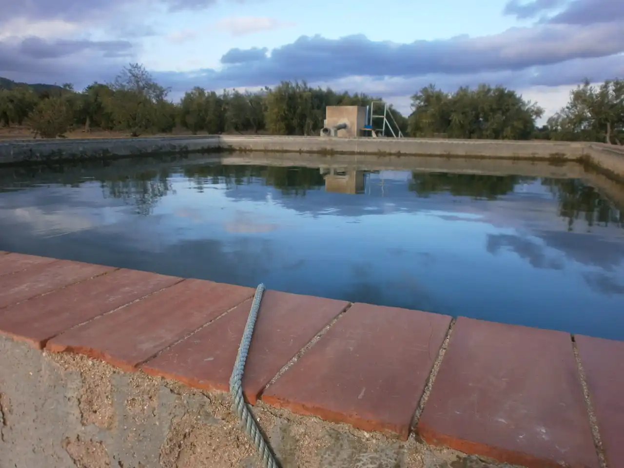 Rural land for sale in Carrer Pont del Cinto