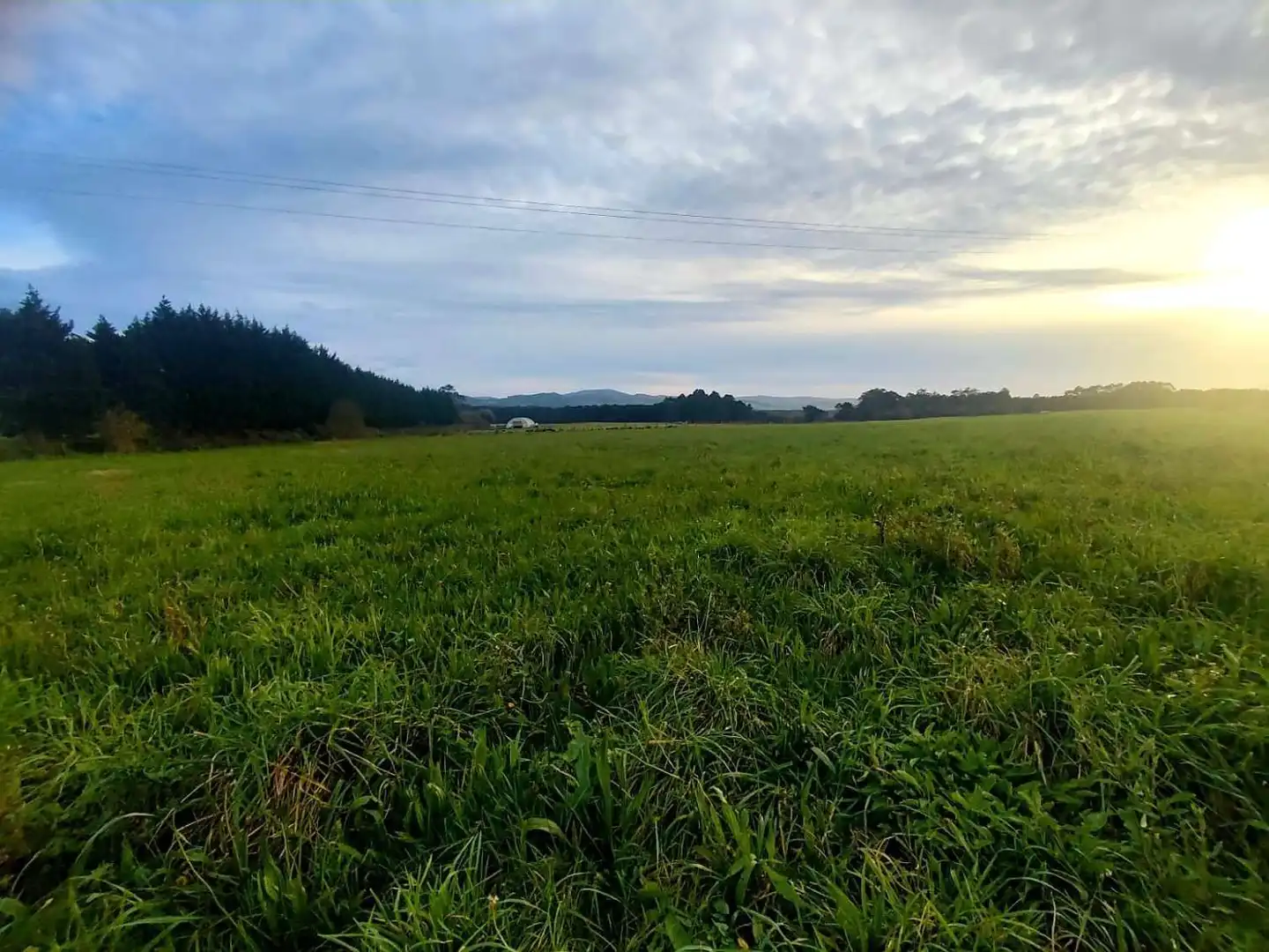 Wohnbaugrundstück zum Verkauf in El Forcado, Campos y Salave, imagen 4