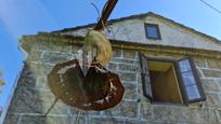 Vista exterior de Casa o xalet en venda en Gondomar amb Calefacció i Jardí privat