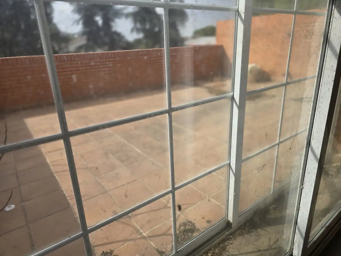 Vista exterior de Casa o xalet en venda en Campo Real amb Jardí privat, Terrassa i Traster