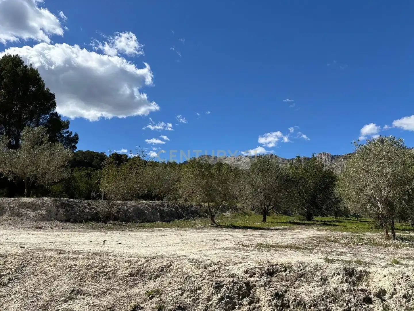 Grundstücke zum Verkauf in Beniardà