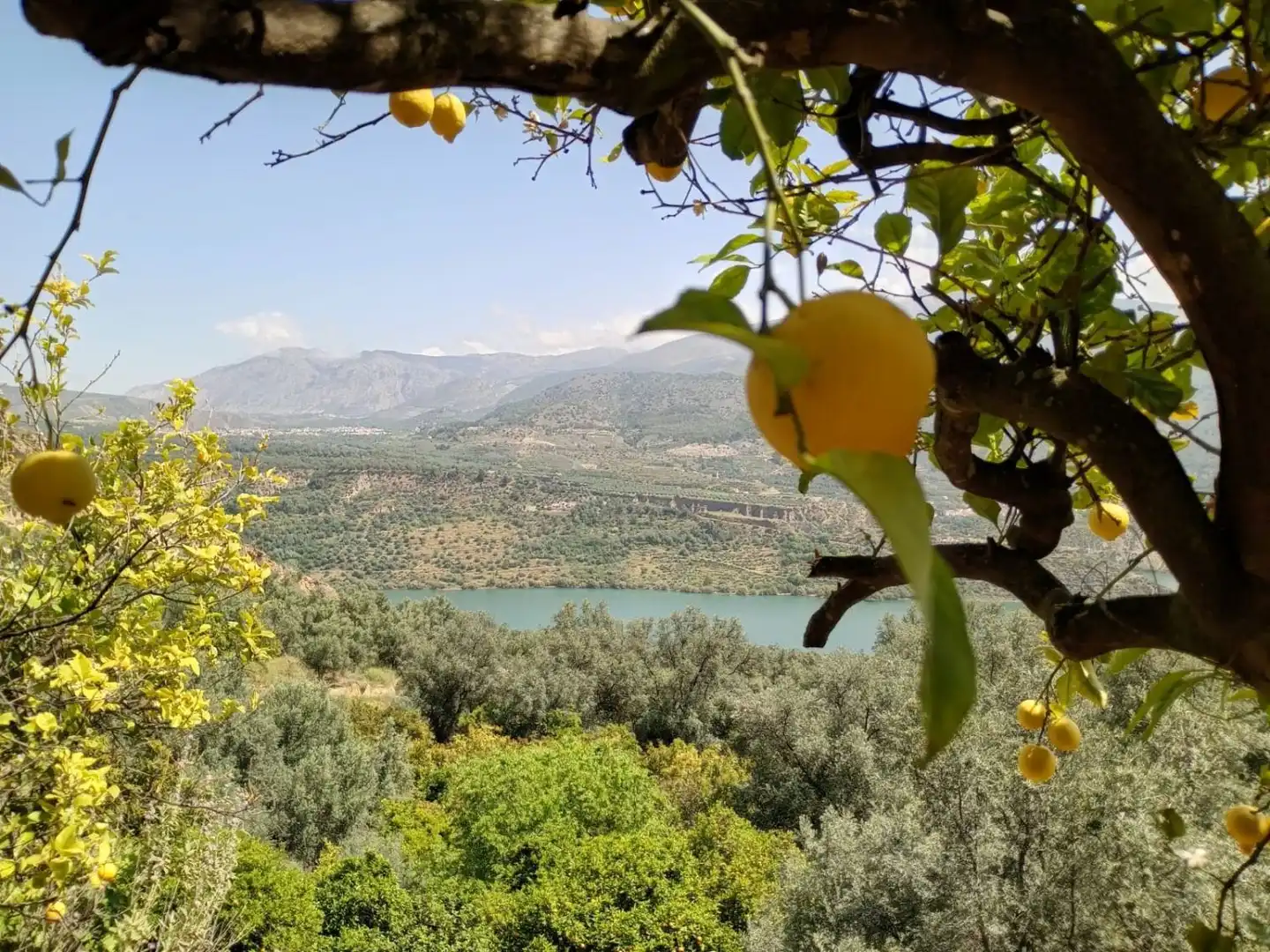 Terreni e lotti in vendita a El Valle, imagen 26