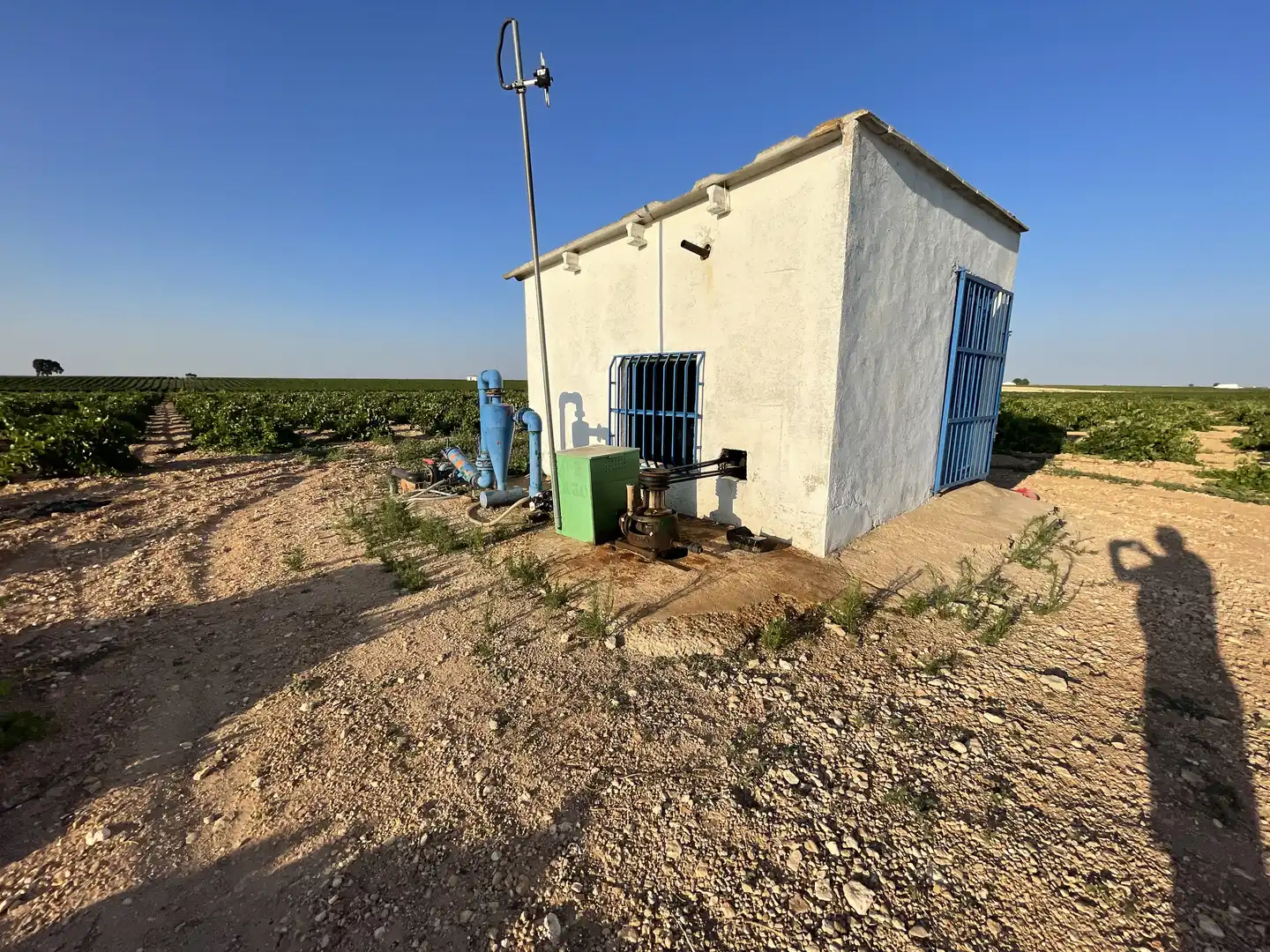 Terreno rústico en venta en Tomelloso, imagen 18