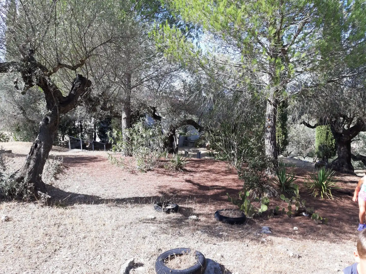 Rural land for sale in Carrer de la Muntanya, imagen 64