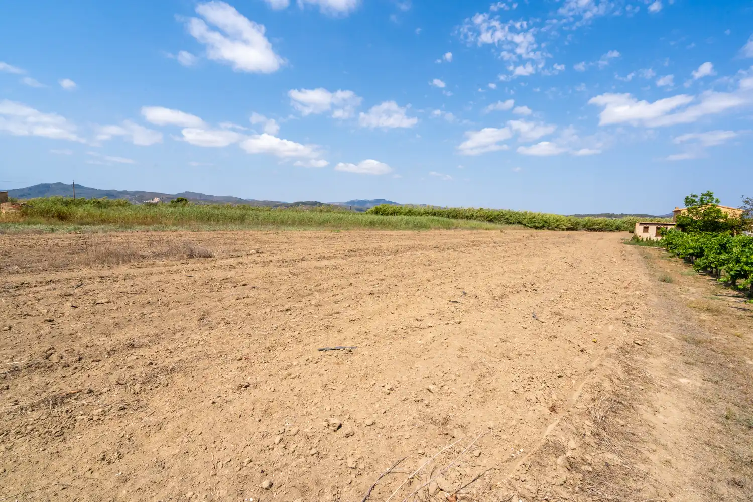 Rural land for sale in Ginestar, imagen 11