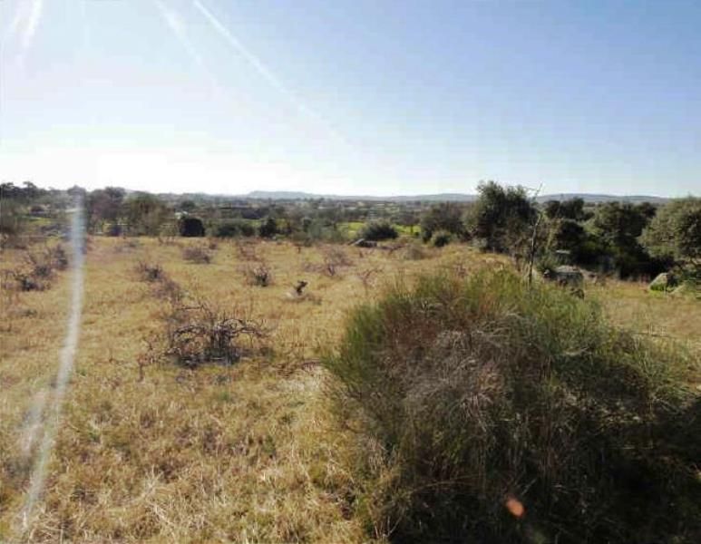 Grundstücke zum verkauf in Esparragosa de la Serena