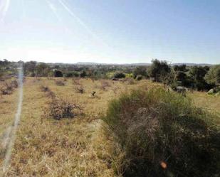Land for sale in Esparragosa de la Serena