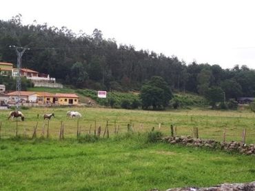 Terreny residencial en venda a Mazcuerras