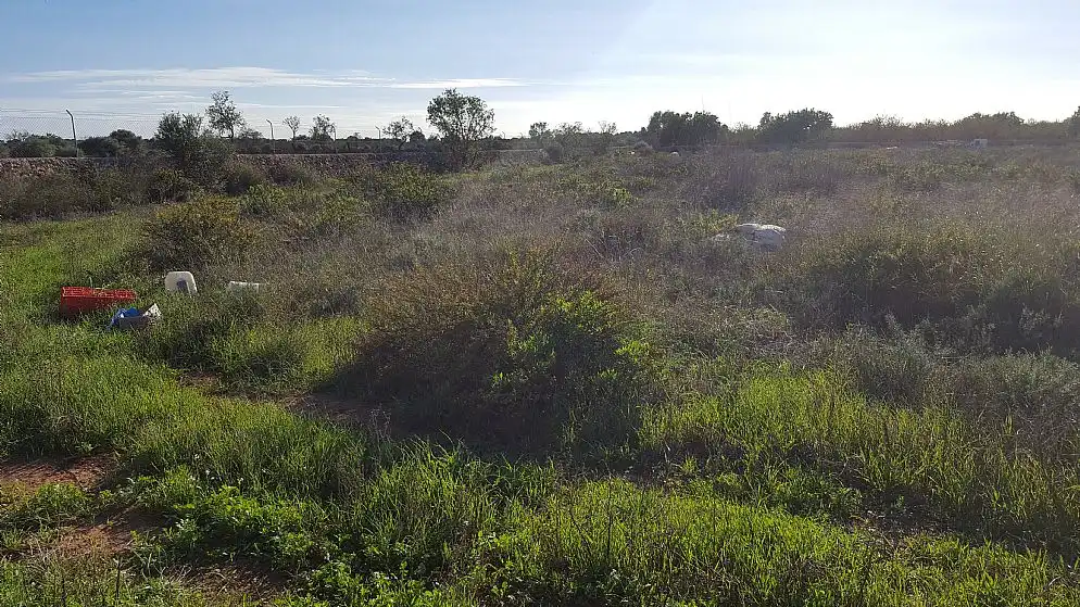 Villa in vendita a C/ Camí de S´aguila, imagen 5
