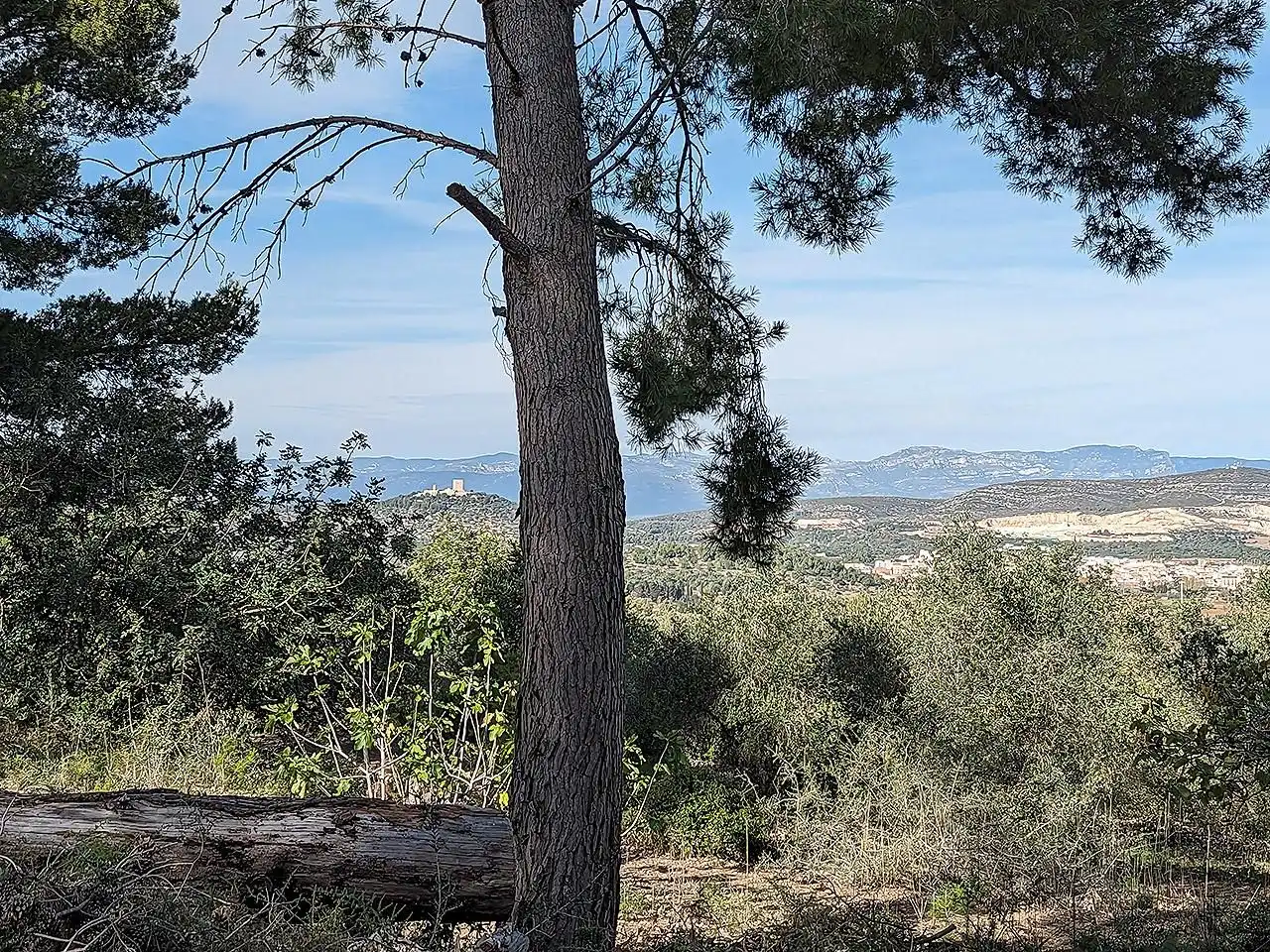 Casa rústica en venta en Ulldecona, imagen 2