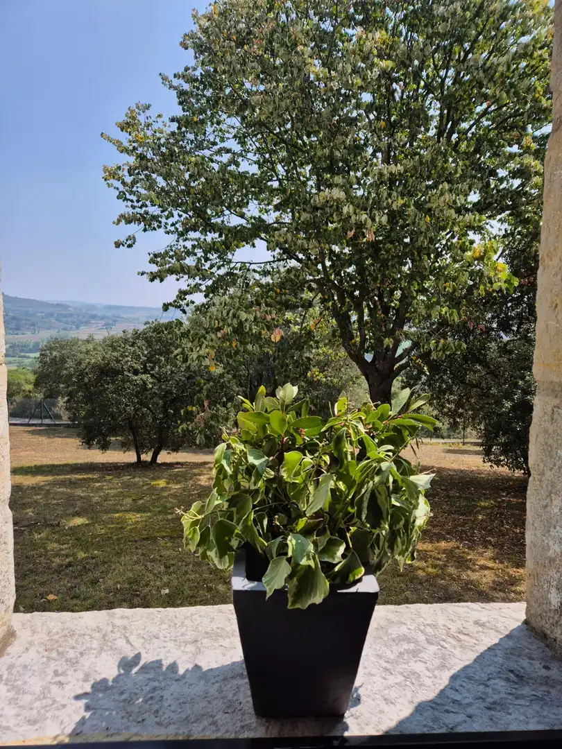 Maison avec jardin à vendre à Valle de Mena, imagen 17