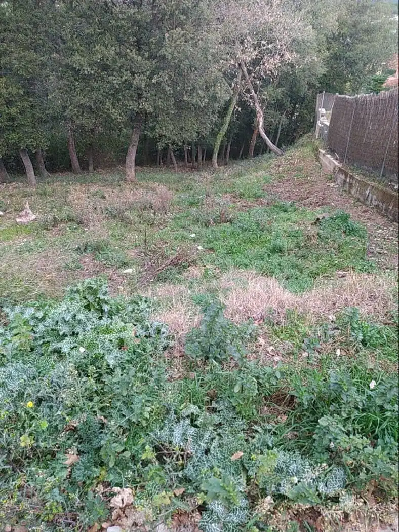 Residential land for sale in Gualba