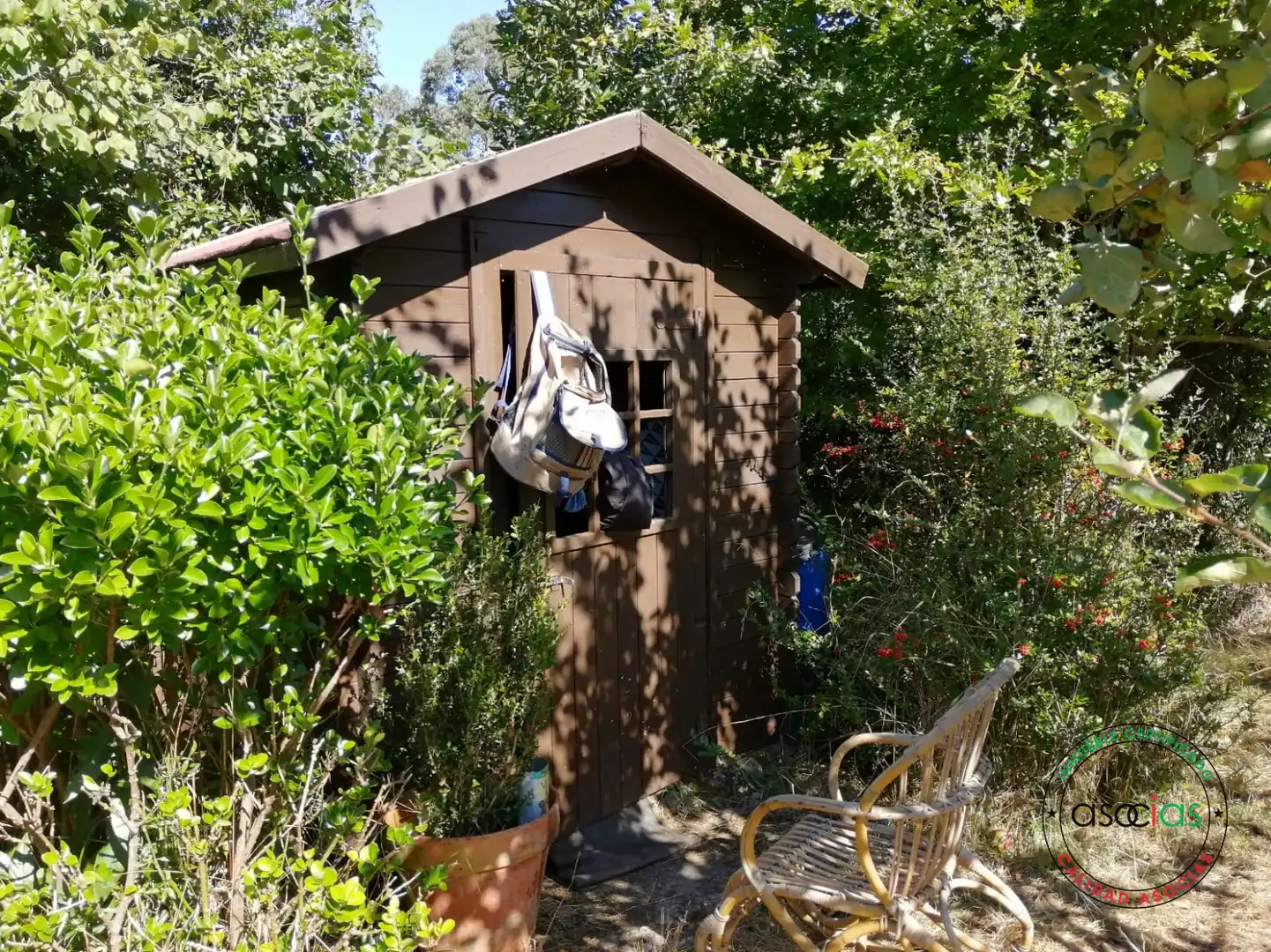Terreno rustico in vendita a Lugar el Fonduxu, imagen 4