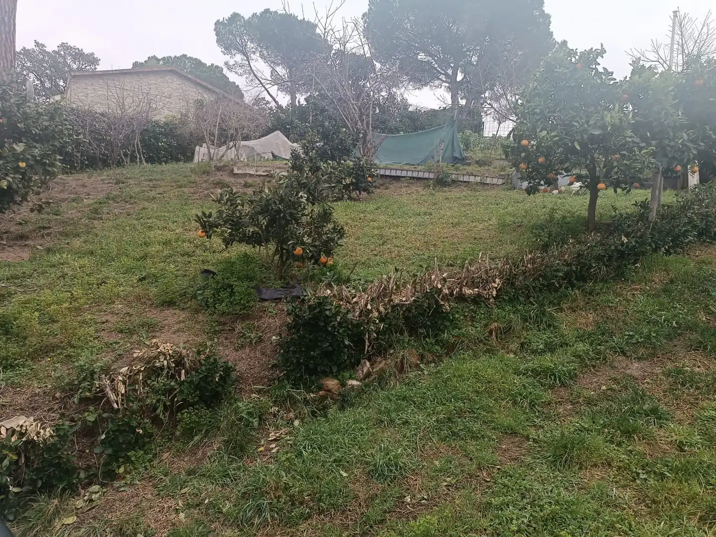Terreno residencial en venta en Lloret Residencial - Montlloret, imagen 8