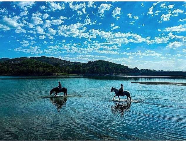 Local comercial en Venta en  BARBERA en Vilanova d'Escornalbou