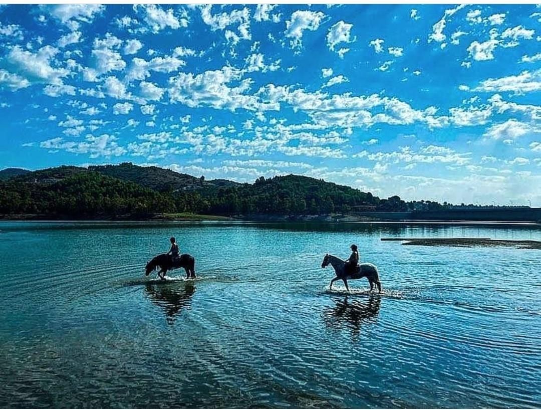 Premises for sale in  BARBERA, Vilanova d'Escornalbou