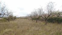 Land for sale in Albocàsser