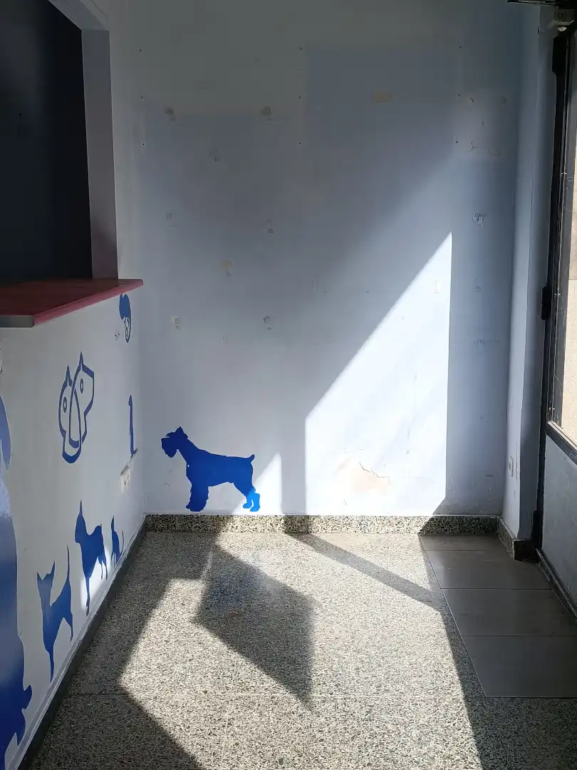 Geschaftsraum zur Miete in Segorbe