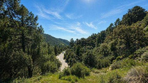 Foto 2 de Residencial en venta en Montemayor - Marbella Club, Benahavís