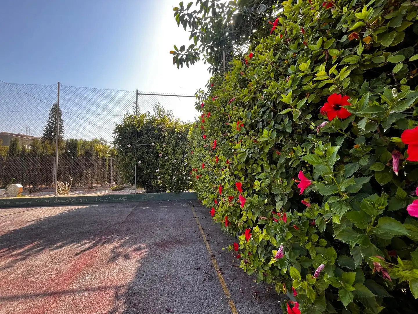 Casa con terrazza in vendita a Perleta - Maitino, imagen 62
