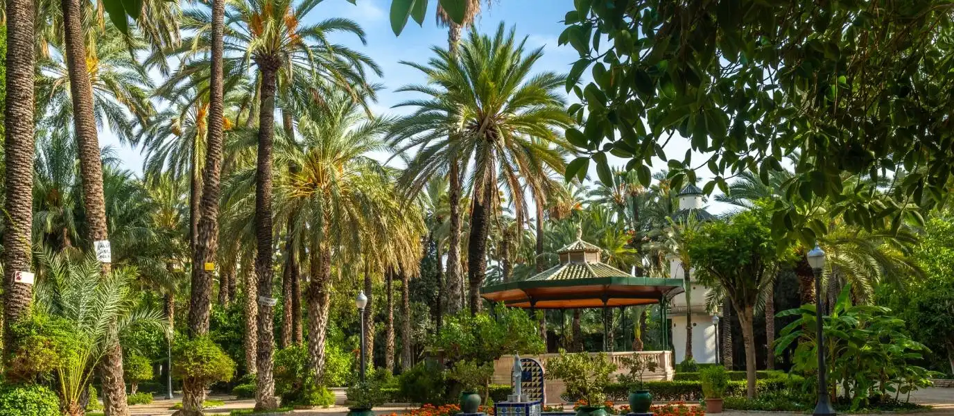 Garden of Flat for sale in Elche / Elx  with Balcony