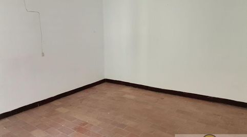 MacaelCasa, image 5