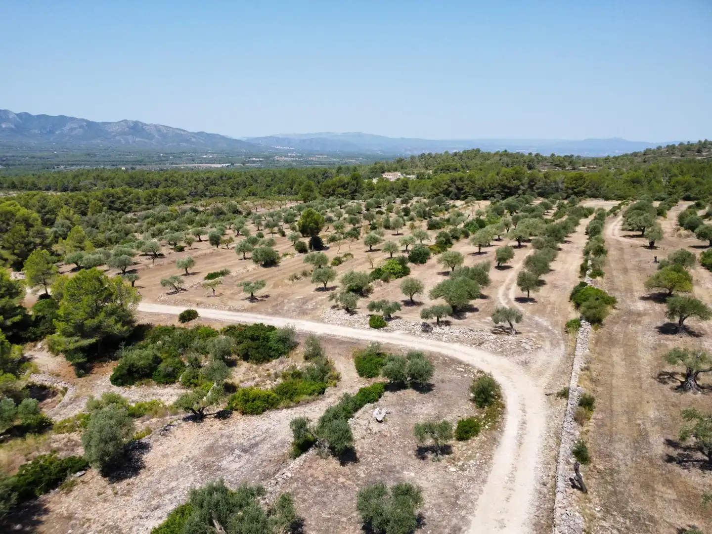 Casa rústica con piscina en venta en Tivissa, imagen 92