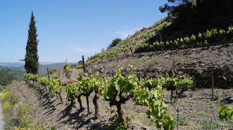 Photo 4 of Land for sale in T-710, 79, Gratallops, Tarragona