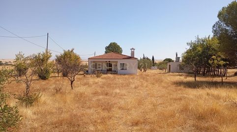 Foto 3 de Casa o xalet de lloguer a Polígono 22 Parcela 241 Collado. Caceres (cáceres), -1, Valdesalor - Rincón de Ballesteros, Cáceres Capital