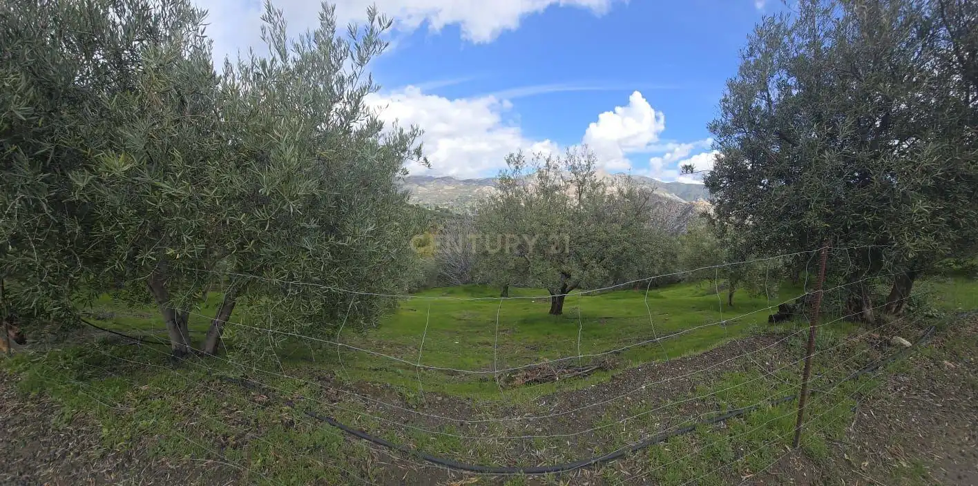 Terreno rustico in vendita a Polígono 11 Parcela 108 EL CERRILLAR. LOS GUAJARES (GRANADA), imagen 9