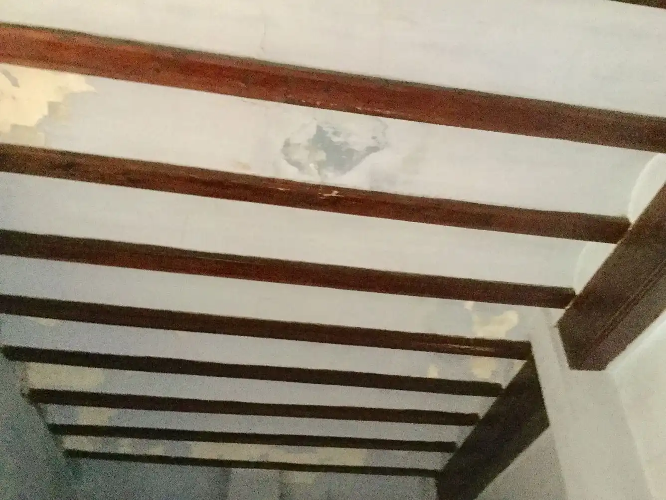 Houses for sale in Avinguda Major, Massamagrell
