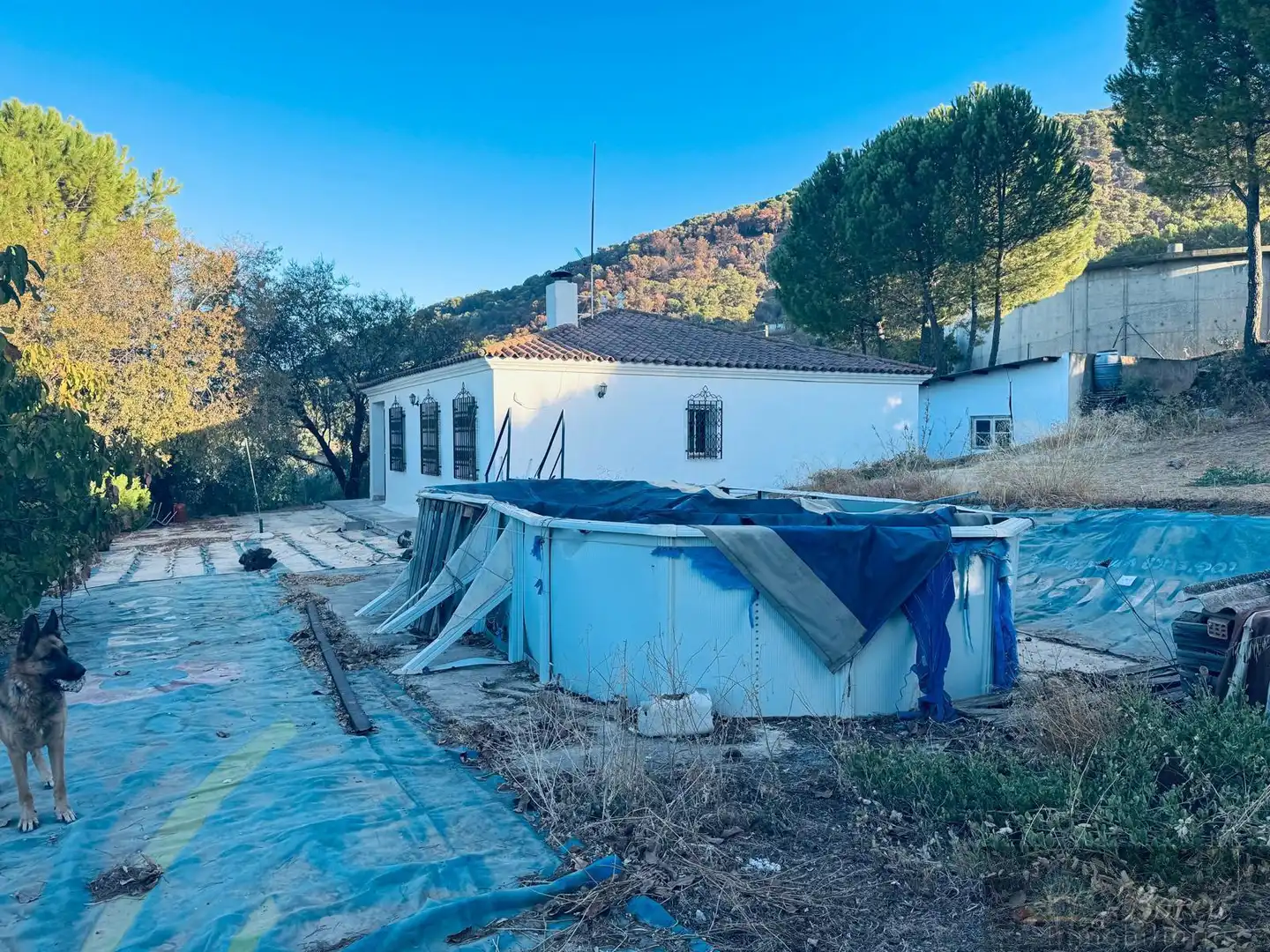 Villa mit Pool zum Verkauf in Rute, imagen 4
