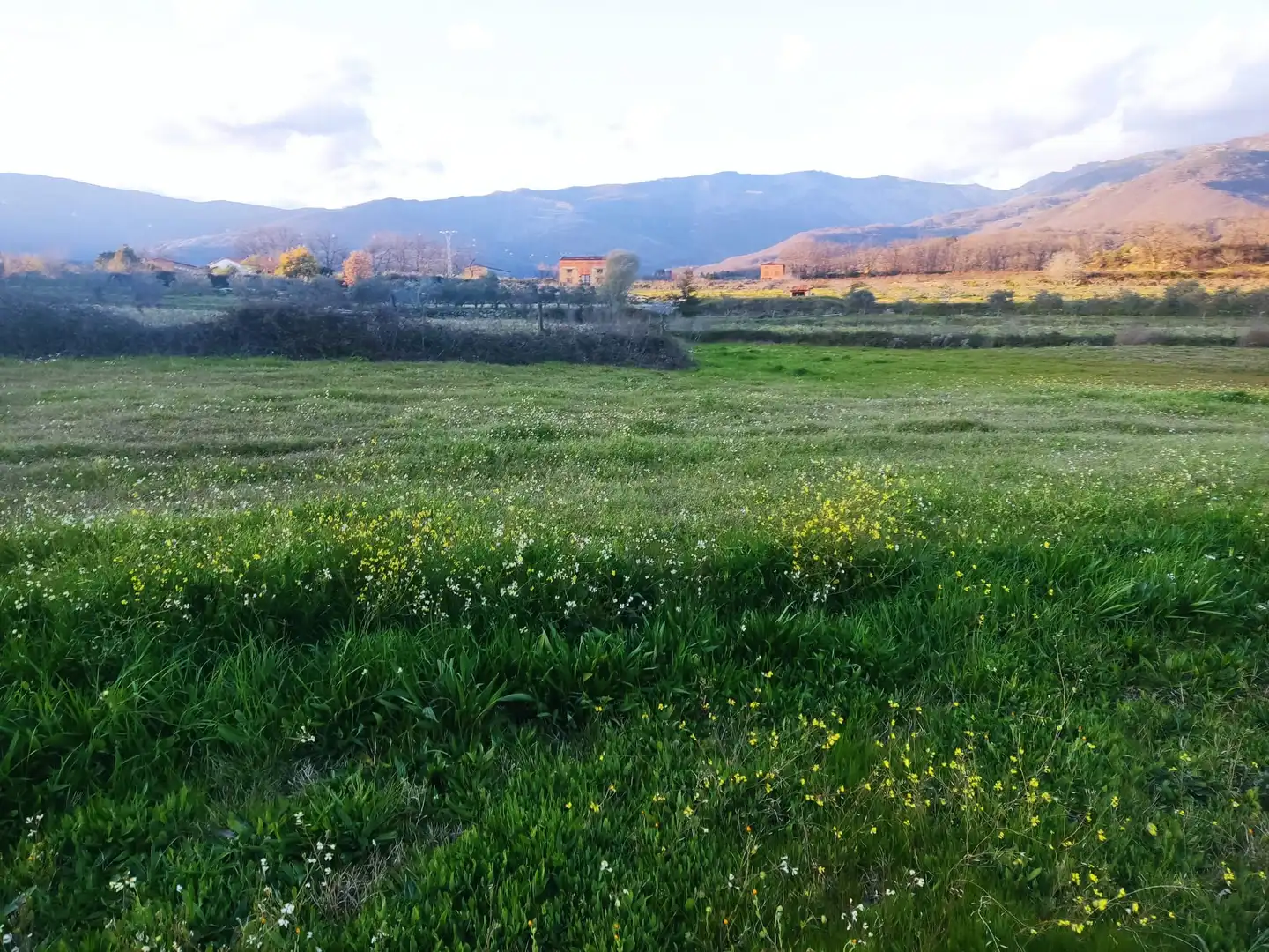 Terreni e lotti in vendita a Jarandilla de la Vera, imagen 9