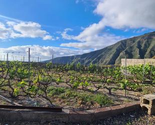Finca rústica en venda a Arafo